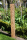 Wildbienenhotel Stamm Eiche 75cm