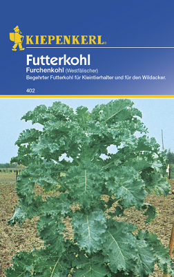 Futterkohl Westf&auml;lischer Furchenkohl, Kiepenkerl