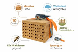 Nistblock für Wildbienen aus Eiche – Natürliche Nisthilfe mit 10 Fräsrillen