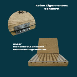 Wildbienen Schaukasten – Beobachtungskasten für Wildbienen, Lernen und Naturerlebnis