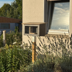 Nistkasten Schutzgehäuse – Wetterbeständig, Schutz für Wildbienenhotels